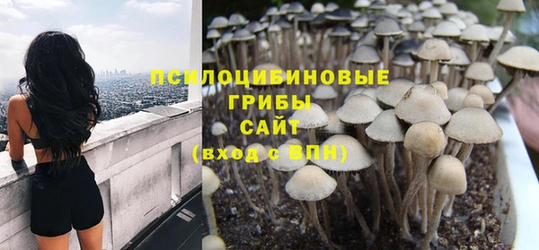 сатива Богородицк