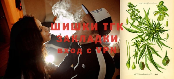 сатива Богородицк